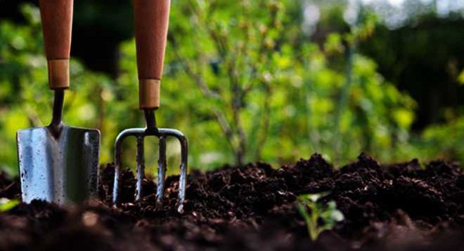 wallmarker gardening service